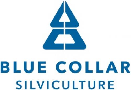 Blue Collar Silviculture Ltd